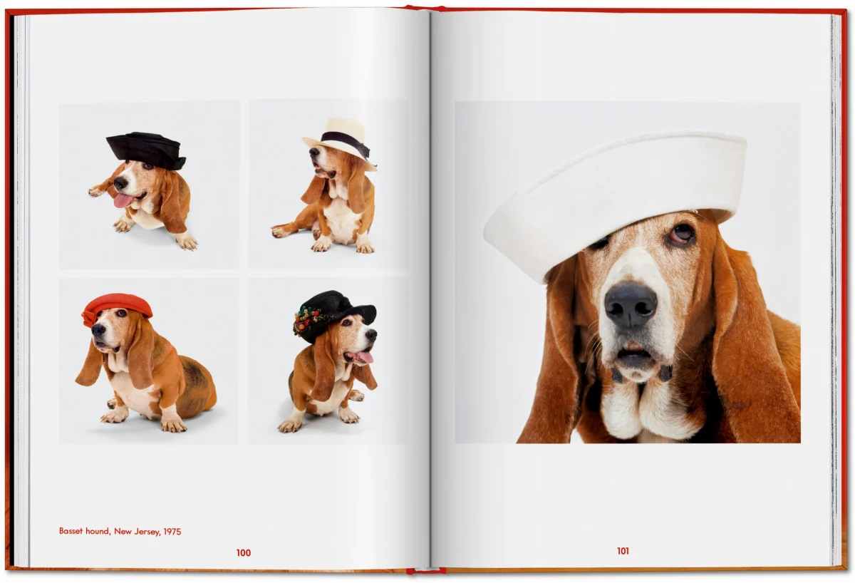 Walter Chandoha. Dogs. Photographs 1941–1991 - Image 17 of 26