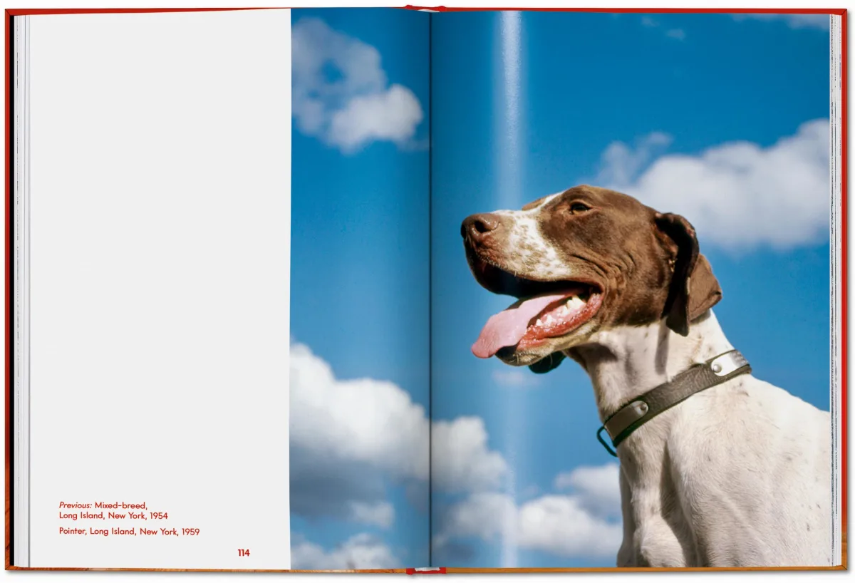 Walter Chandoha. Dogs. Photographs 1941–1991 - Image 20 of 26