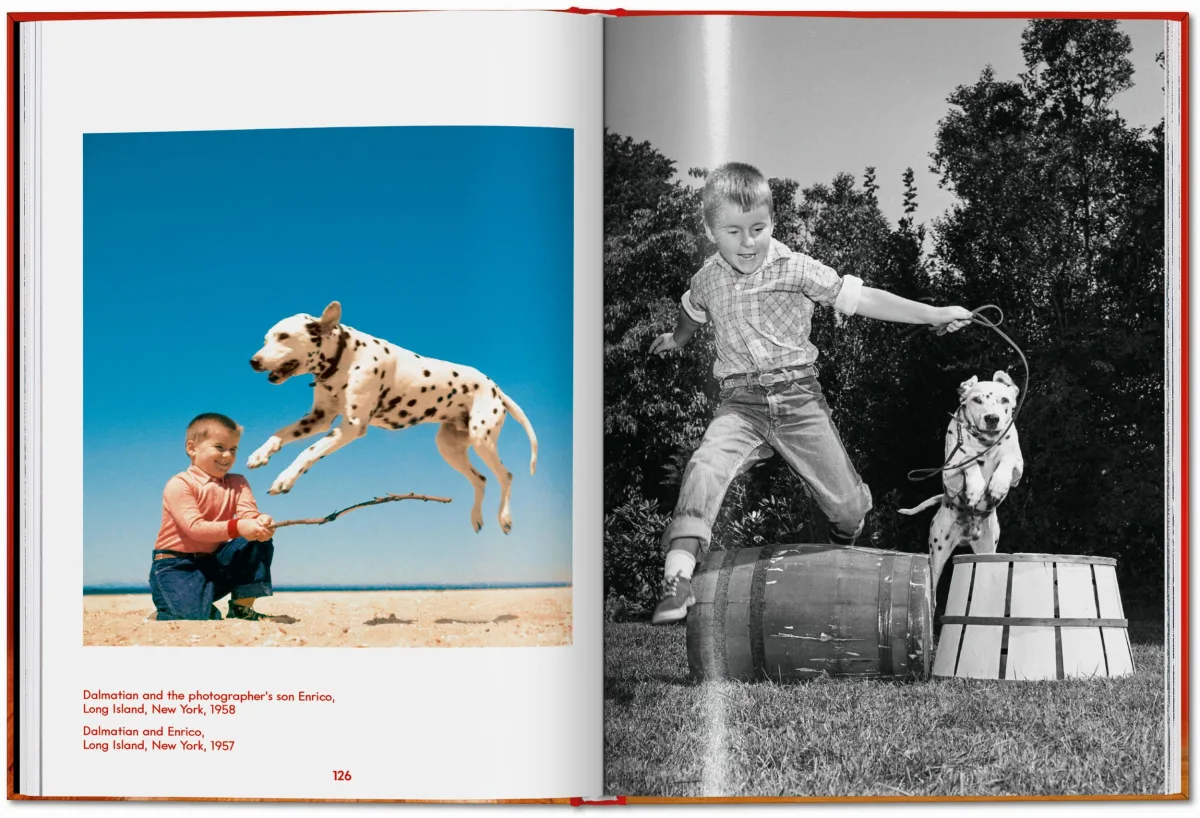 Walter Chandoha. Dogs. Photographs 1941–1991 - Image 21 of 26