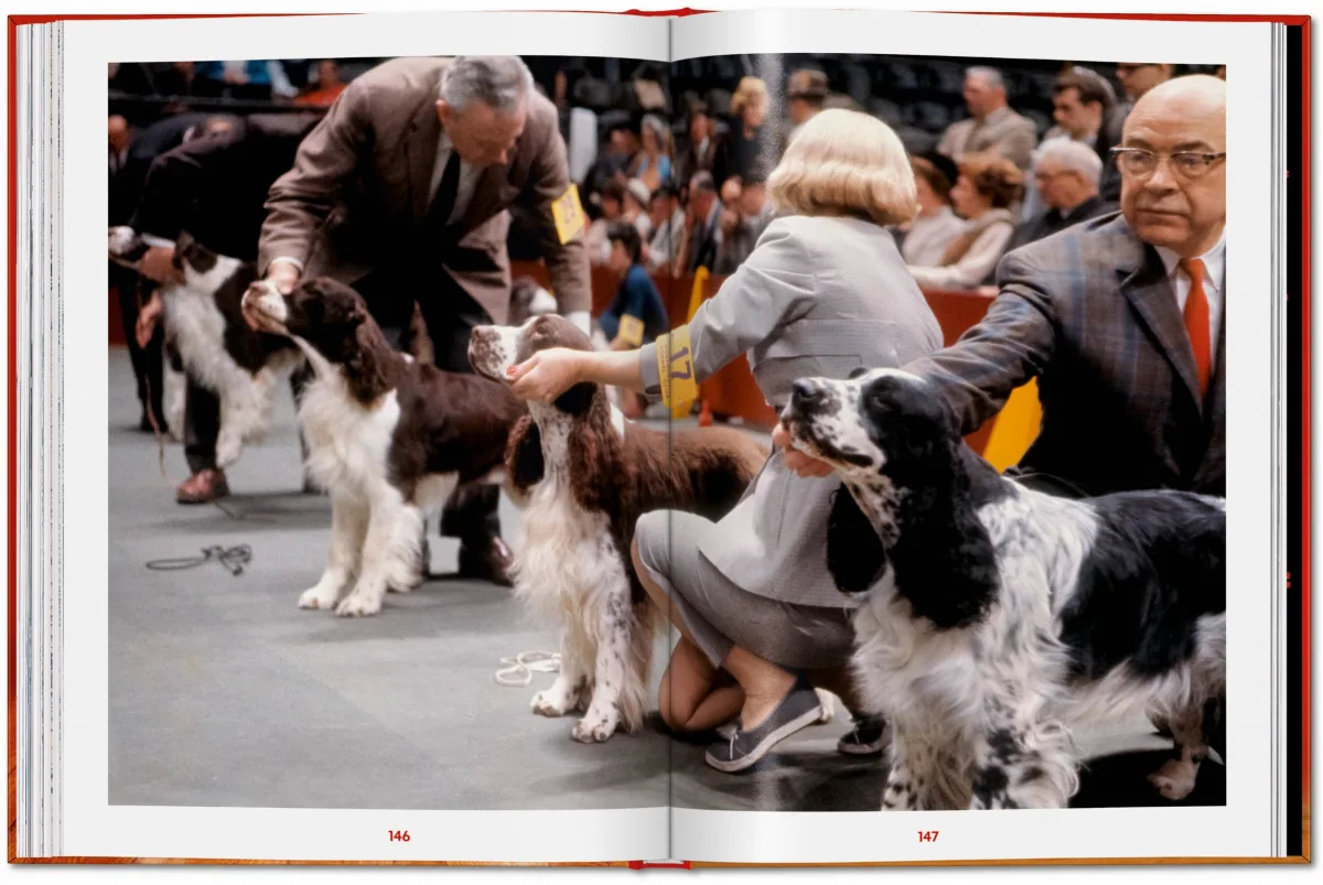 Walter Chandoha. Dogs. Photographs 1941–1991 - Image 22 of 26