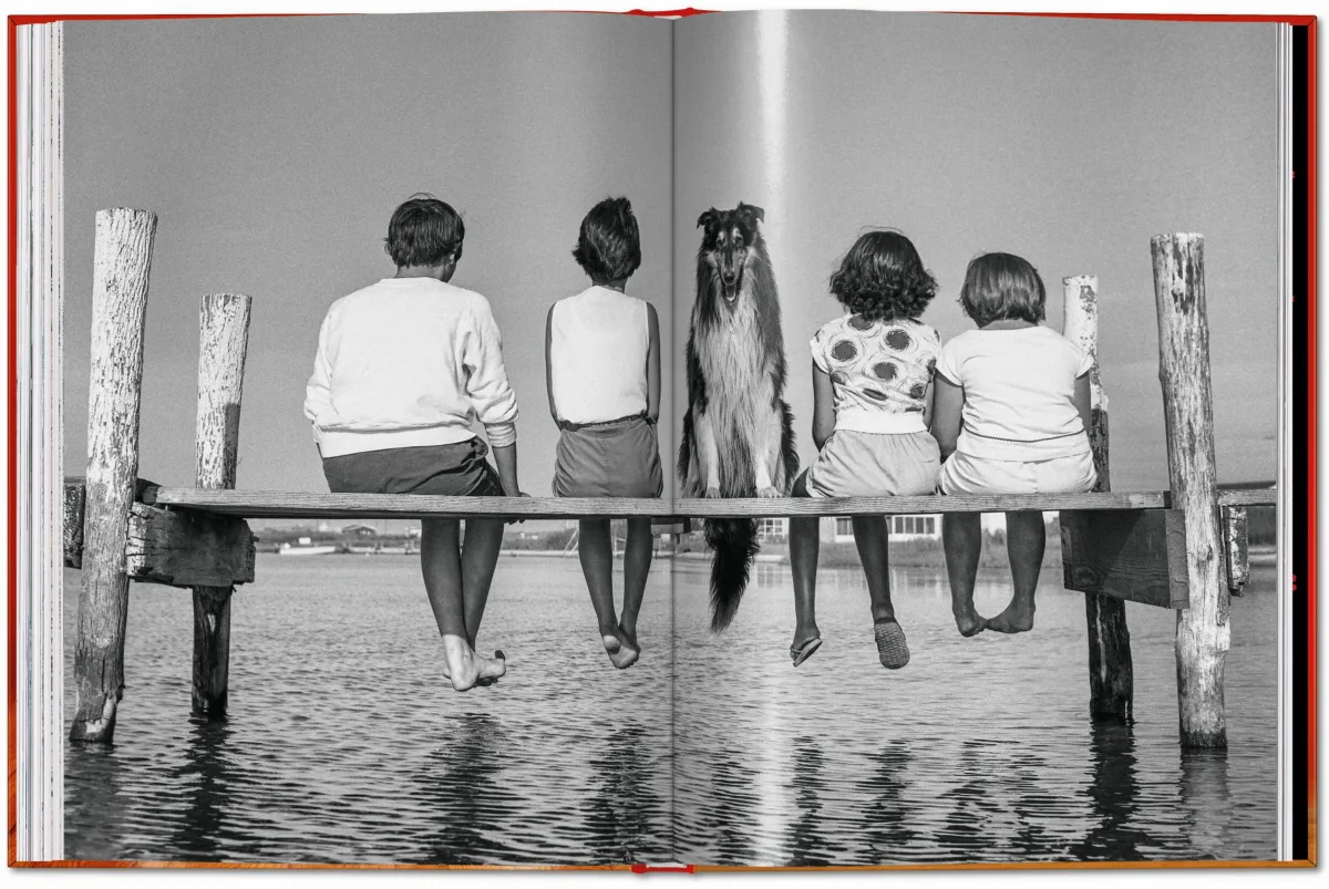 Walter Chandoha. Dogs. Photographs 1941–1991 - Image 25 of 26