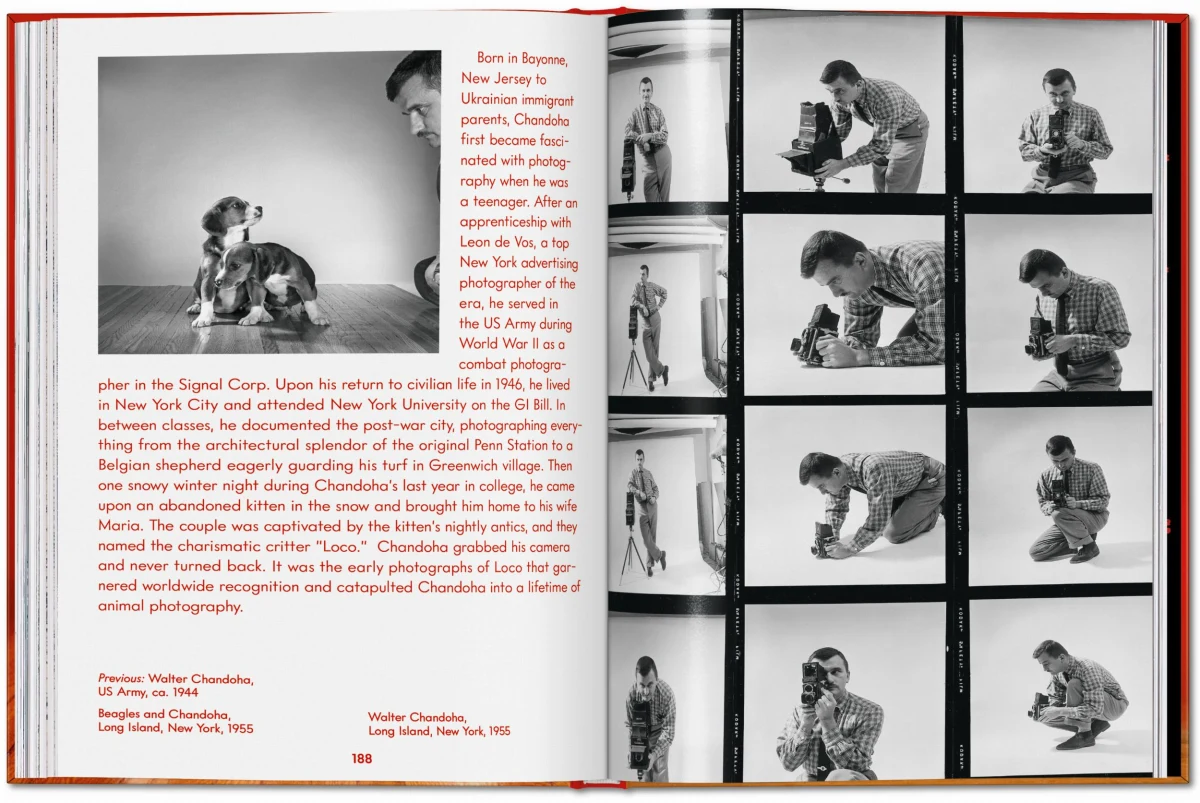 Walter Chandoha. Dogs. Photographs 1941–1991 - Image 26 of 26