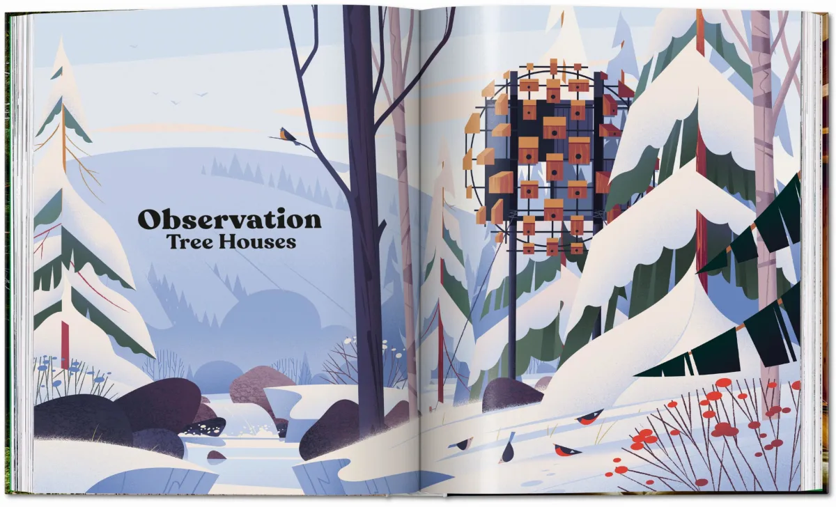 Modern Tree Houses - Image 9 of 20