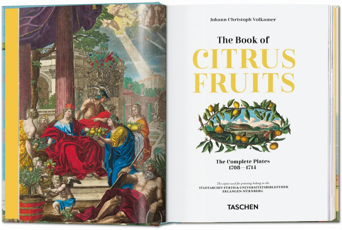 J. C. Volkamer. The Book of Citrus Fruits. 45th Ed. - Image 2 de 23
