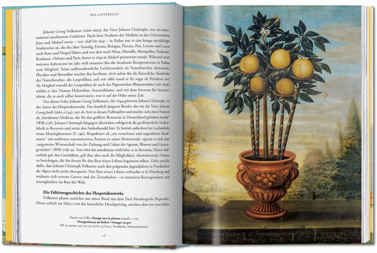 J. C. Volkamer. The Book of Citrus Fruits. 45th Ed. - Image 4 de 23