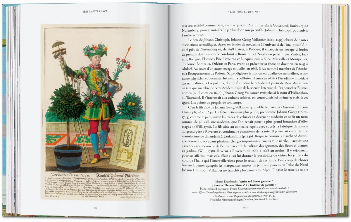 J. C. Volkamer. The Book of Citrus Fruits. 45th Ed. - Image 5 de 23
