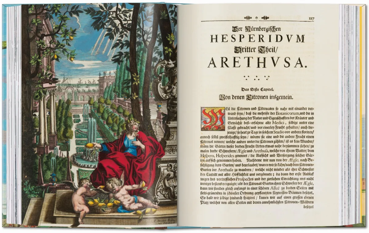 J. C. Volkamer. The Book of Citrus Fruits. 45th Ed. - Image 6 de 23