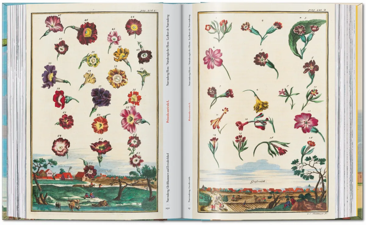 J. C. Volkamer. The Book of Citrus Fruits. 45th Ed. - Image 10 de 23