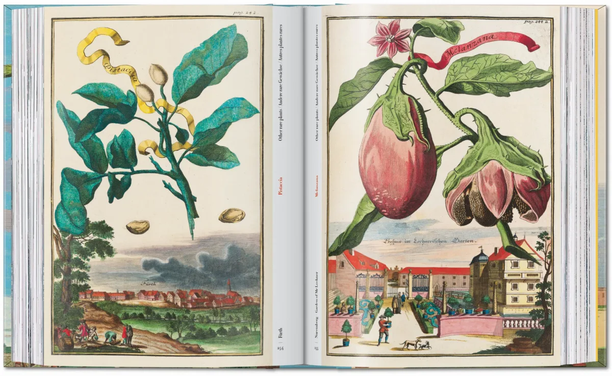 J. C. Volkamer. The Book of Citrus Fruits. 45th Ed. - Image 11 de 23