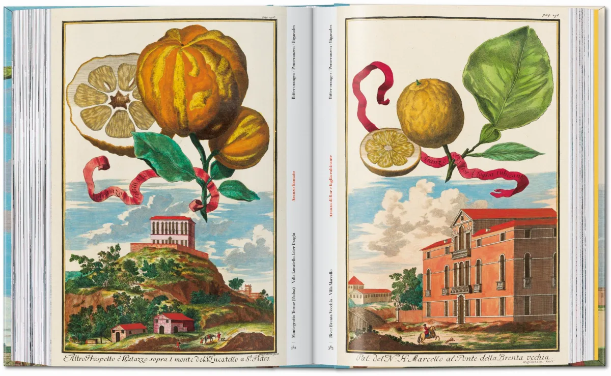 J. C. Volkamer. The Book of Citrus Fruits. 45th Ed. - Image 20 de 23