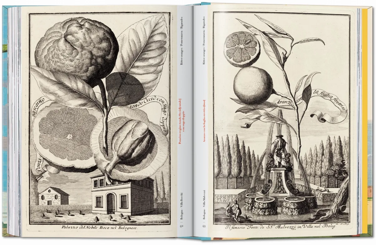 J. C. Volkamer. The Book of Citrus Fruits. 45th Ed. - Image 23 de 23