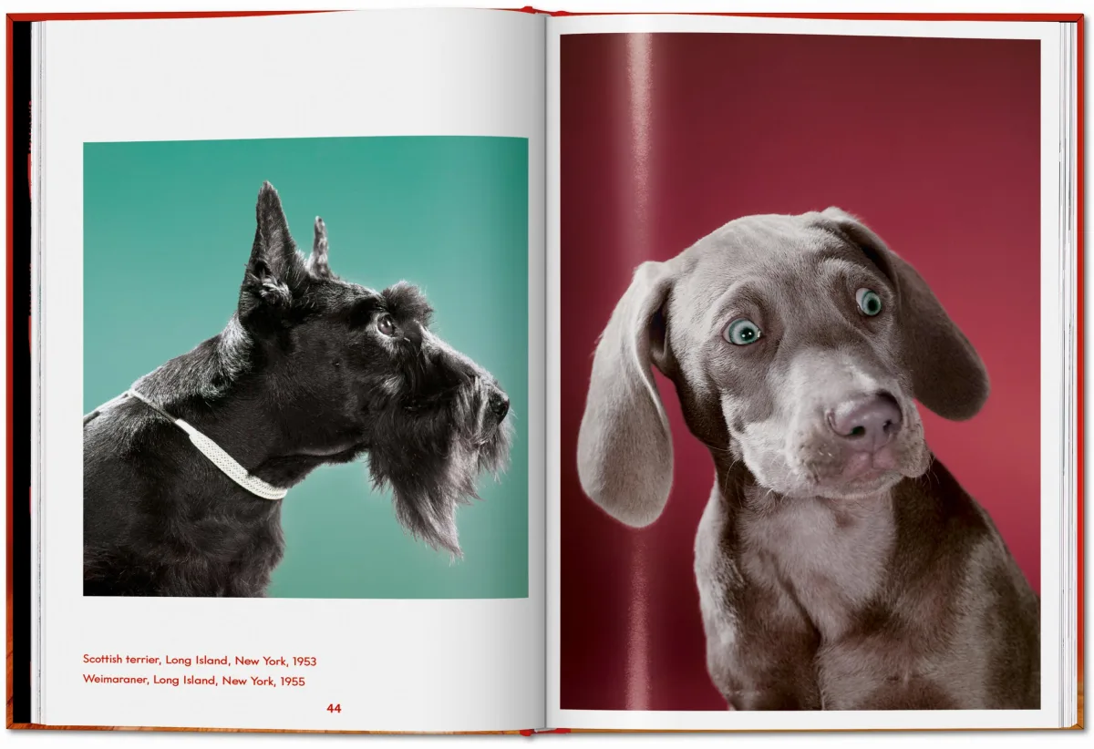 Walter Chandoha. Dogs. Photographs 1941–1991 - Bild 11 von 26