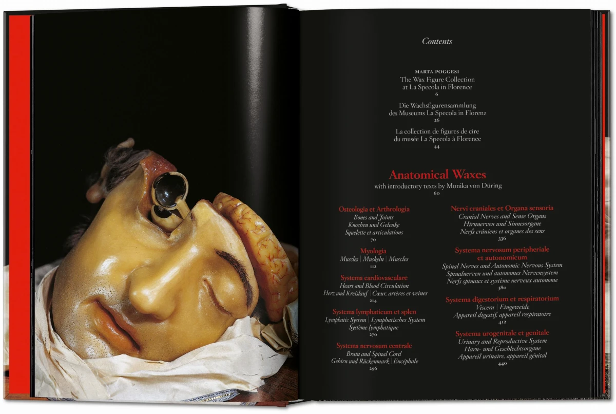 Anatomical Waxes. 45th Ed. - Image 2 de 26