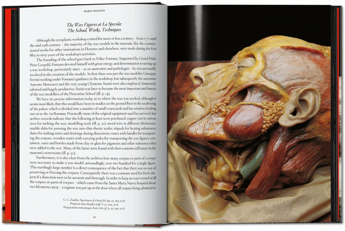 Anatomical Waxes. 45th Ed. - Image 4 de 26