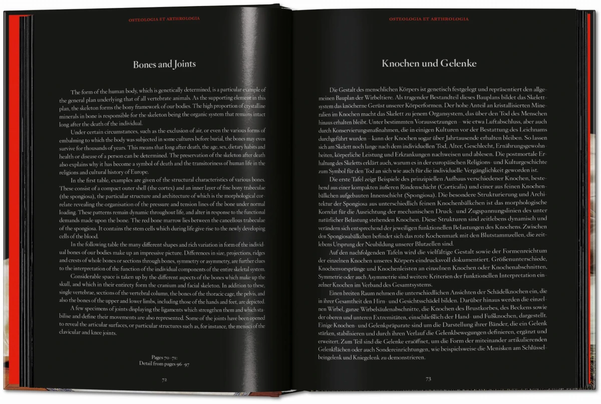 Anatomical Waxes. 45th Ed. - Image 8 de 26