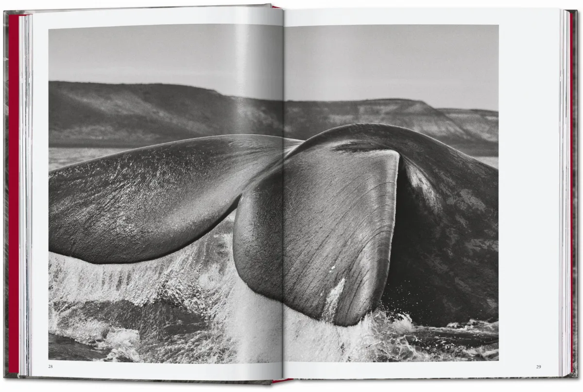 Sebastião Salgado. Genesis. 45th Ed. - Image 4 of 18