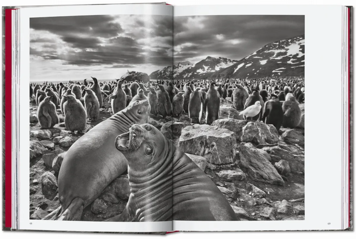 Sebastião Salgado. Genesis. 45th Ed. - Image 5 of 18