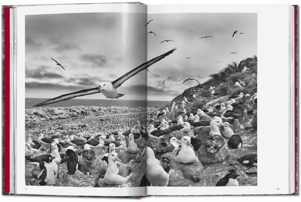 Sebastião Salgado. Genesis. 45th Ed. - Image 6 of 18