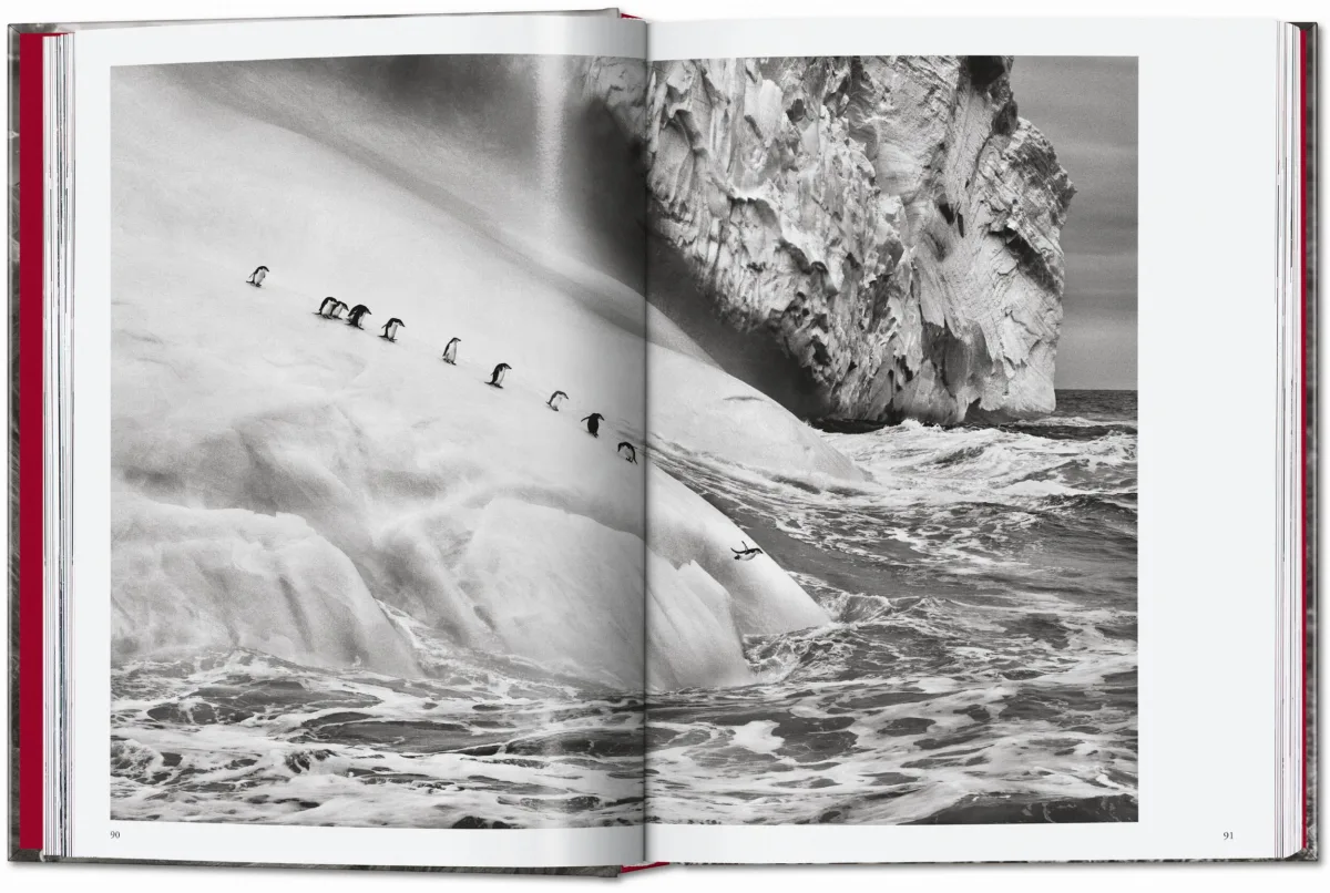 Sebastião Salgado. Genesis. 45th Ed. - Image 7 of 18