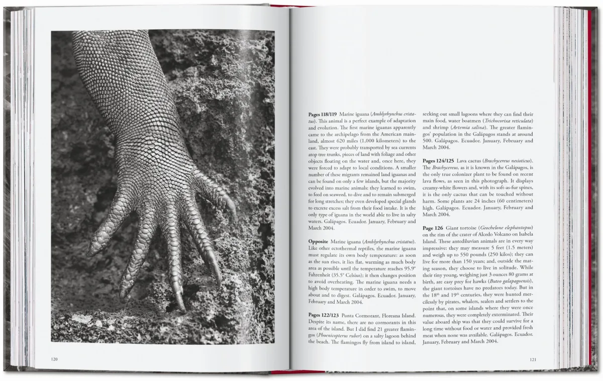 Sebastião Salgado. Genesis. 45th Ed. - Image 8 of 18
