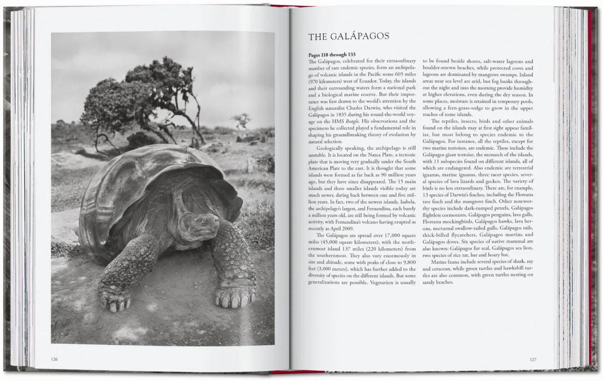 Sebastião Salgado. Genesis. 45th Ed. - Image 9 of 18