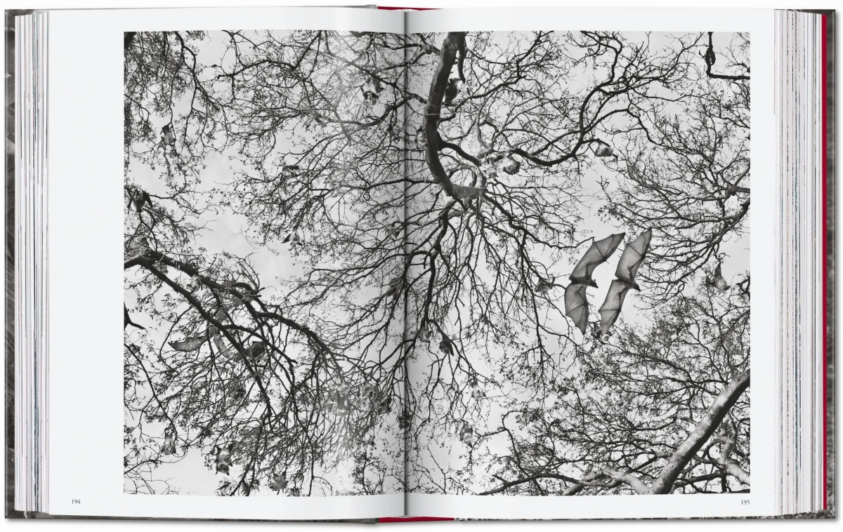 Sebastião Salgado. Genesis. 45th Ed. - Image 10 of 18