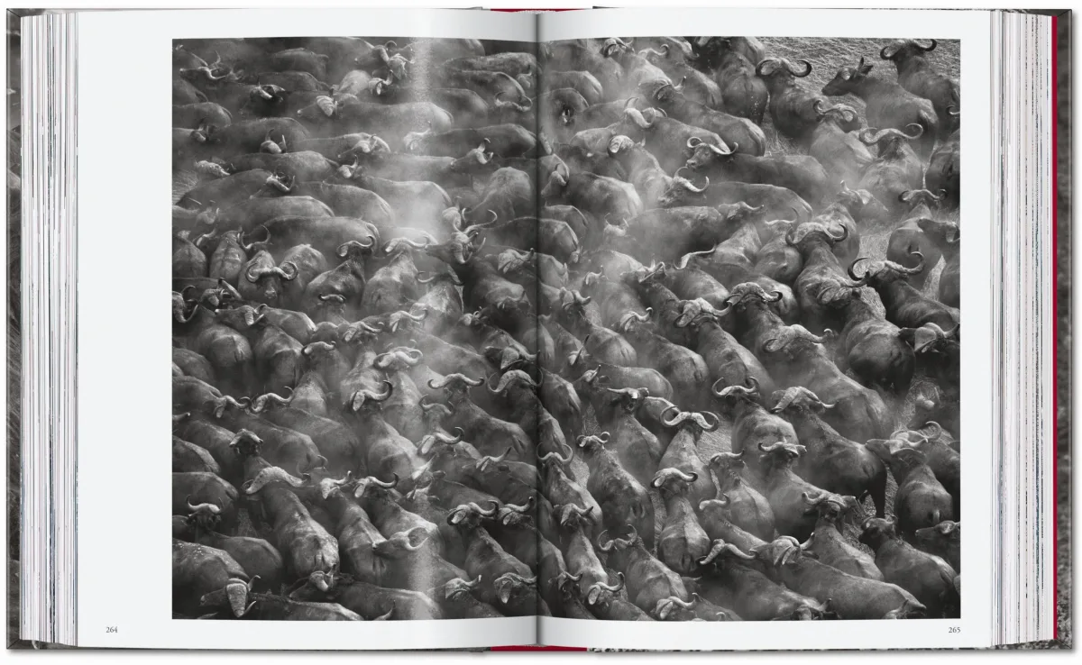 Sebastião Salgado. Genesis. 45th Ed. - Image 14 of 18