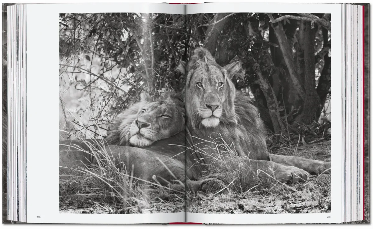 Sebastião Salgado. Genesis. 45th Ed. - Image 15 of 18
