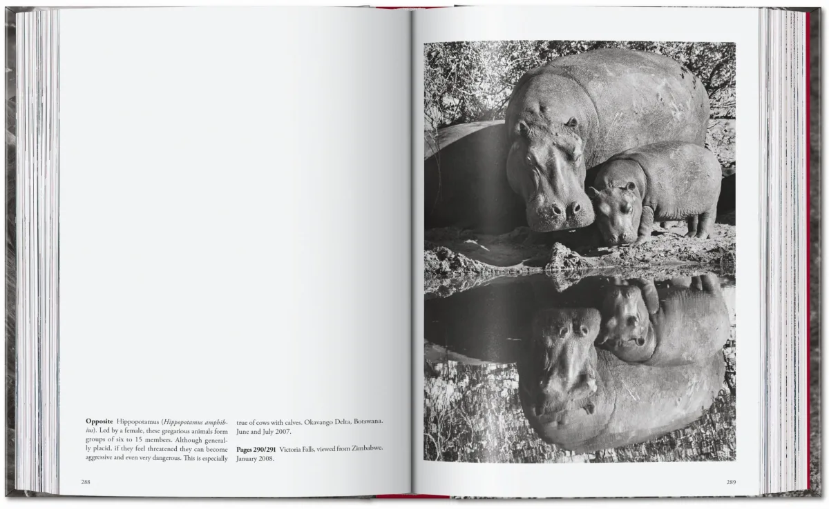 Sebastião Salgado. Genesis. 45th Ed. - Image 16 of 18