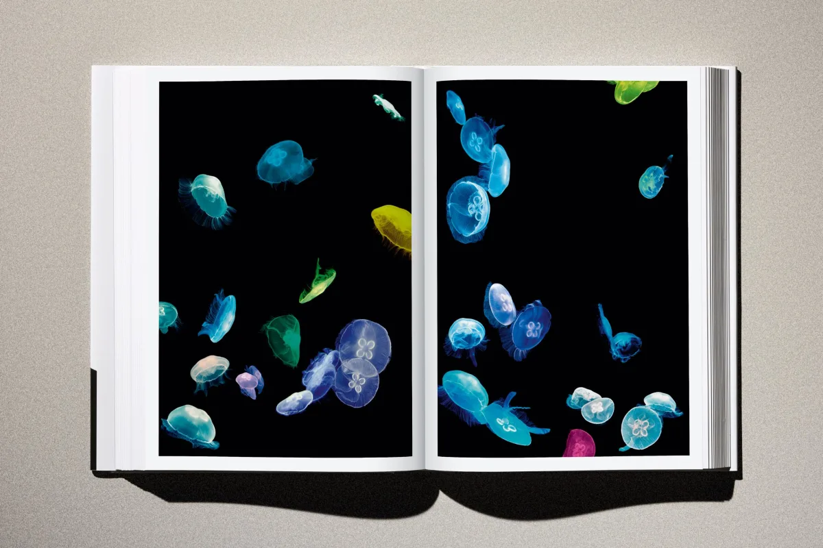 Albert Watson. Kaos. 2nd Edition. Art Edition No. 101–150, 'Christy Turlington (Smoke), New York City', 1990 - Image 19 of 31