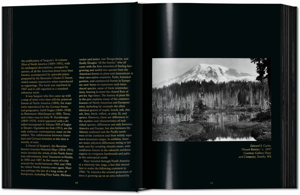 Romeyn B. Hough. The Woodbook. The Complete Plates - Imagen 4 de 15