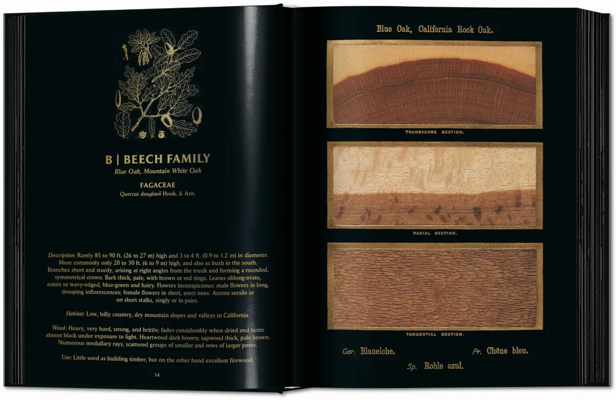 Romeyn B. Hough. The Woodbook. The Complete Plates - Imagen 5 de 15