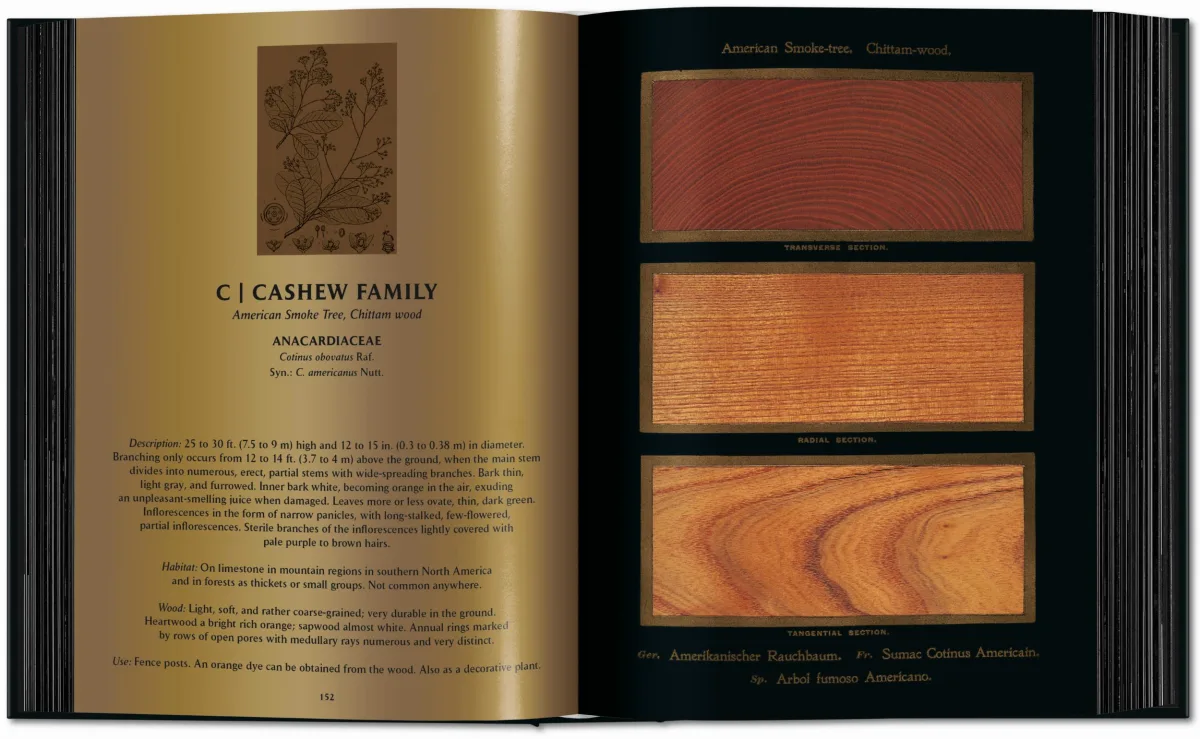 Romeyn B. Hough. The Woodbook. The Complete Plates - Imagen 6 de 15