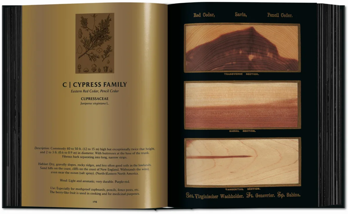 Romeyn B. Hough. The Woodbook. The Complete Plates - Imagen 7 de 15