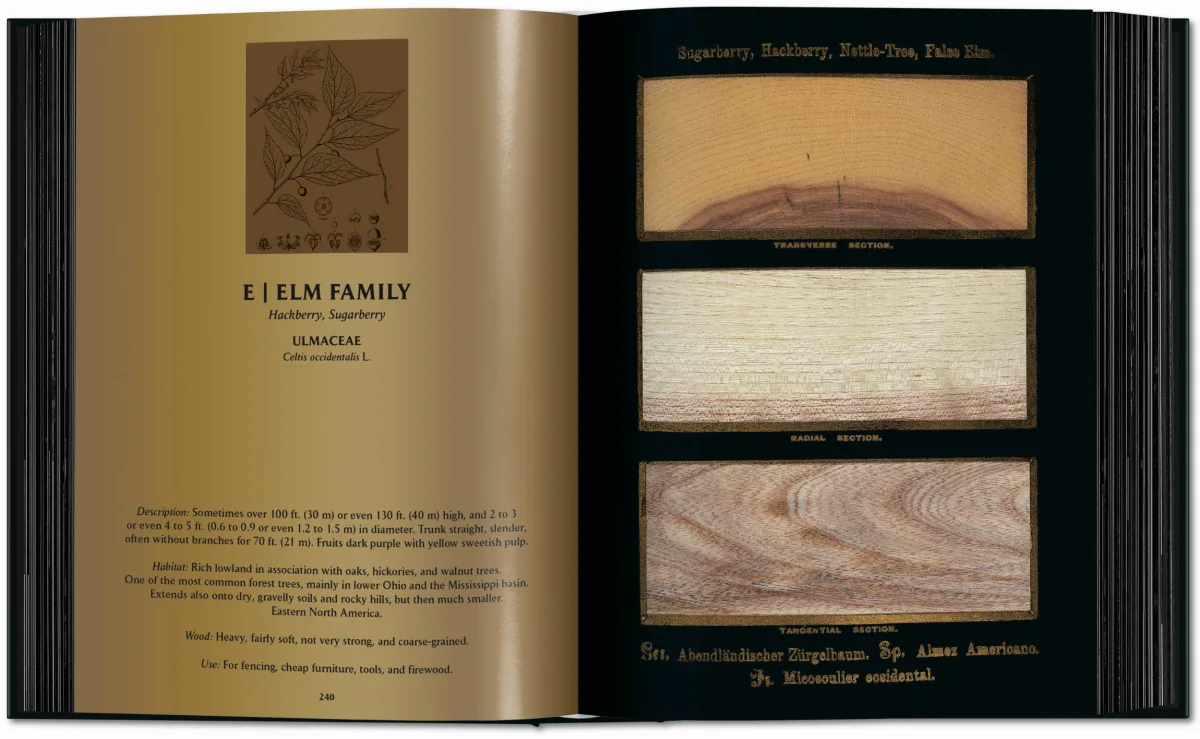 Romeyn B. Hough. The Woodbook. The Complete Plates - Imagen 8 de 15