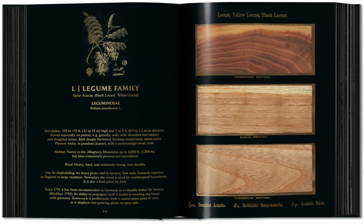 Romeyn B. Hough. The Woodbook. The Complete Plates - Imagen 9 de 15