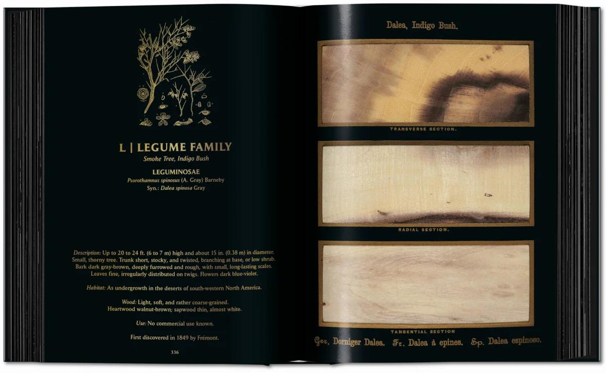 Romeyn B. Hough. The Woodbook. The Complete Plates - Imagen 10 de 15