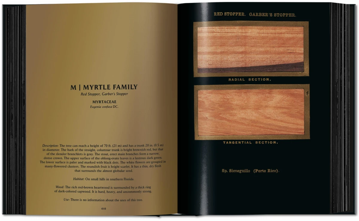 Romeyn B. Hough. The Woodbook. The Complete Plates - Imagen 12 de 15