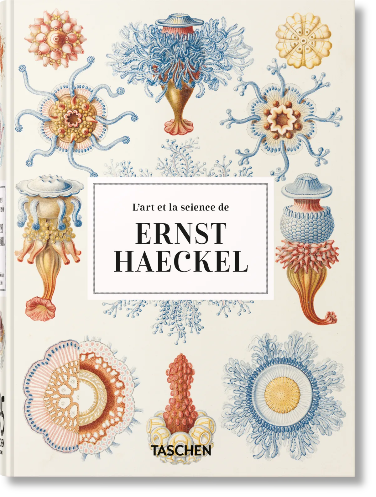 L’art et la science de Ernst Haeckel. 45th Ed. - Image 1 de 8