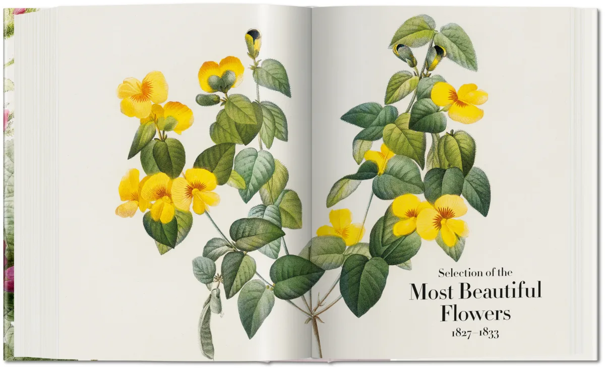Redouté. The Book of Flowers - Image 7 of 8