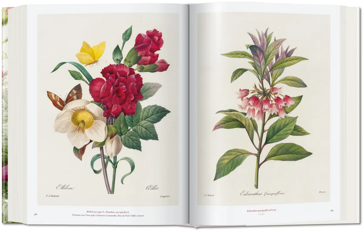 Redouté. The Book of Flowers - Image 8 of 8