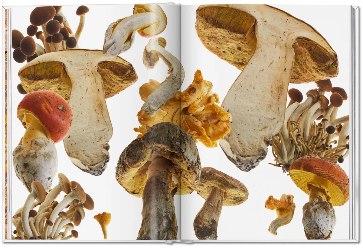 The Gourmand's Mushroom. A Collection of Stories & Recipes - Image 3 de 26