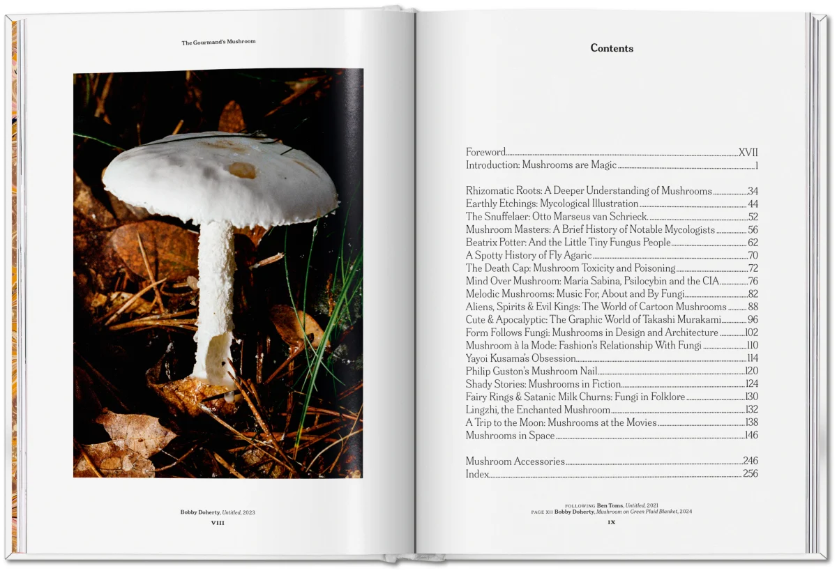 The Gourmand's Mushroom. A Collection of Stories & Recipes - Image 4 de 26