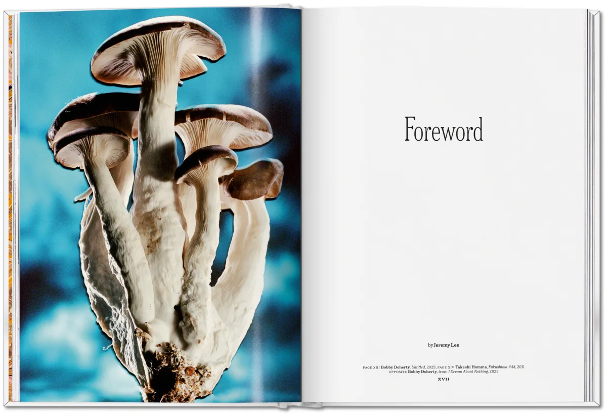 The Gourmand's Mushroom. A Collection of Stories & Recipes - Image 6 de 26