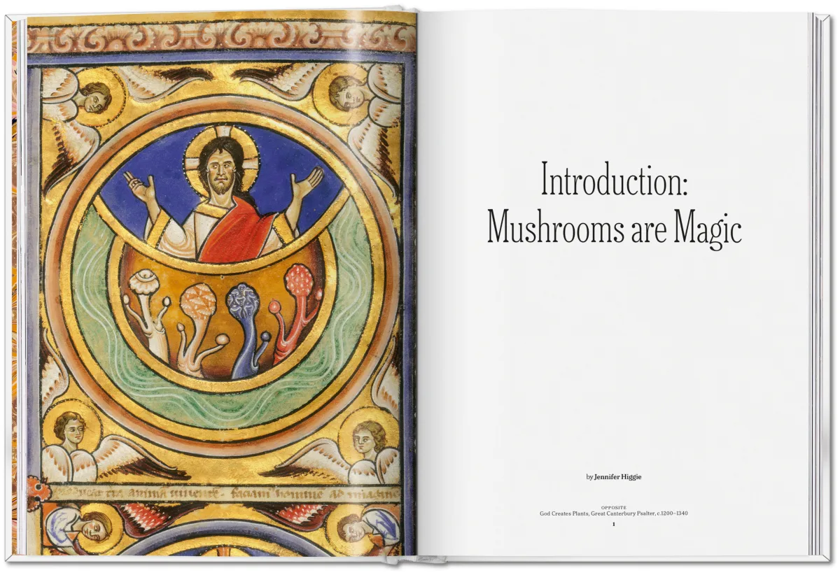 The Gourmand's Mushroom. A Collection of Stories & Recipes - Image 8 de 26