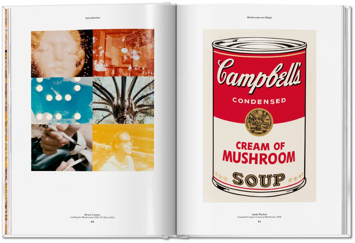 The Gourmand's Mushroom. A Collection of Stories & Recipes - Image 10 de 26