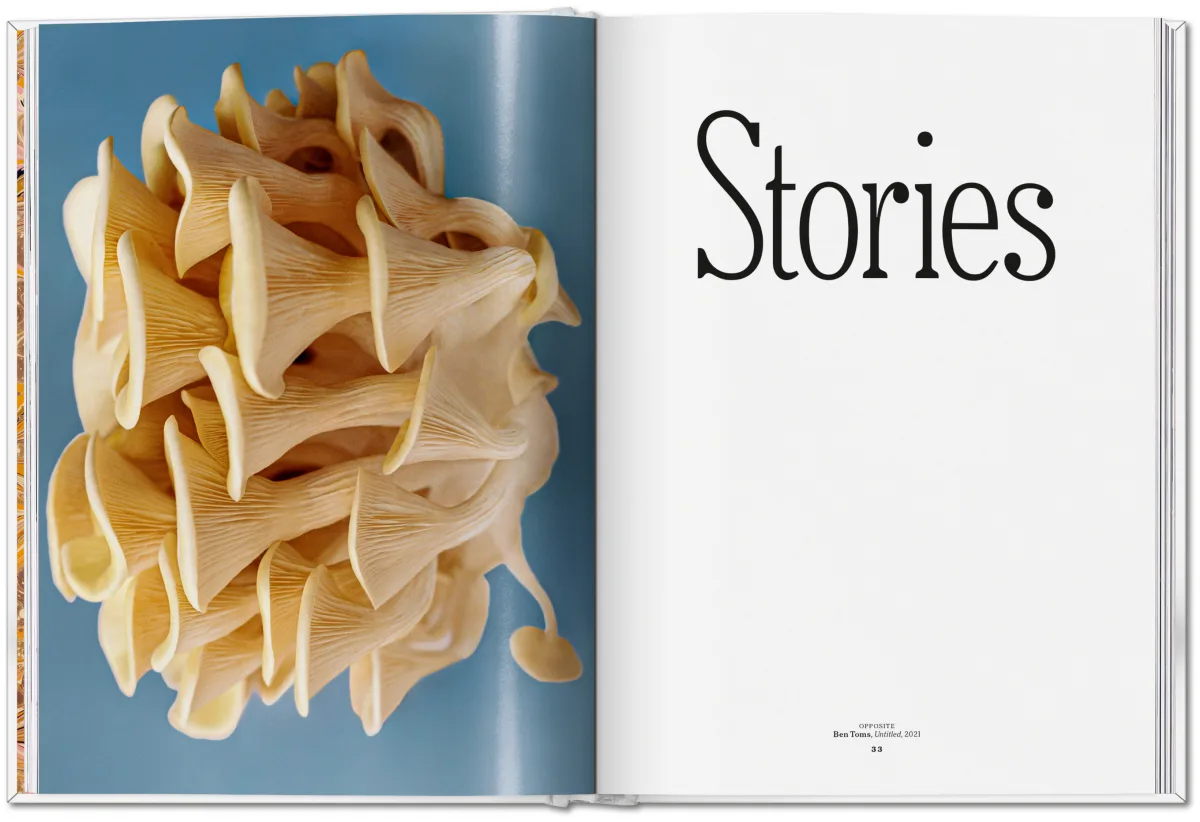 The Gourmand's Mushroom. A Collection of Stories & Recipes - Image 11 de 26