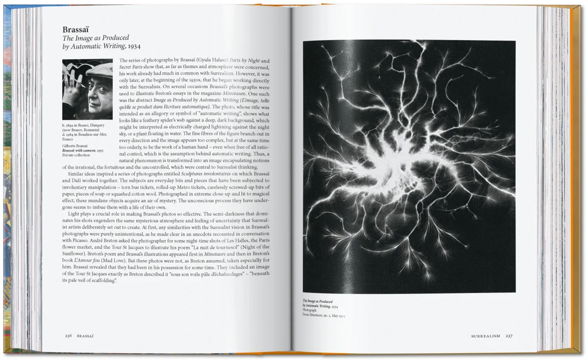 Art for All. Art History - Immagine 13 di 21