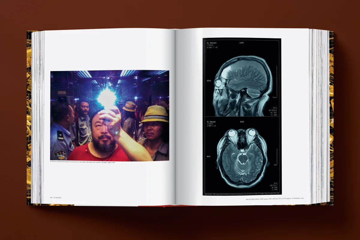 Ai Weiwei. Updated Edition - Image 9 de 32