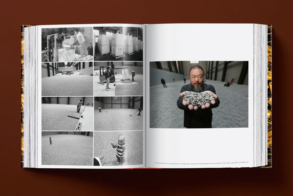 Ai Weiwei. Updated Edition - Image 11 de 32